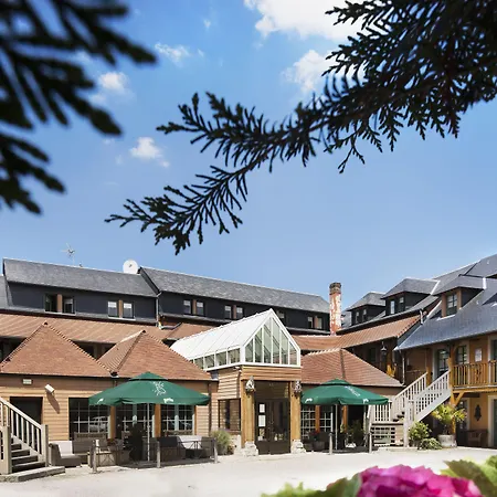 Otel Et Le Lion D'or