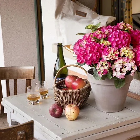 Et Le Lion D'or 3* Pont-Évêque