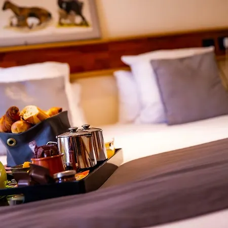 Hotel Et Le Lion D'or