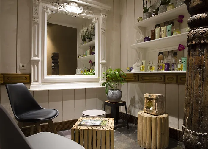 金狮温泉酒店 3* Pont-Évêque