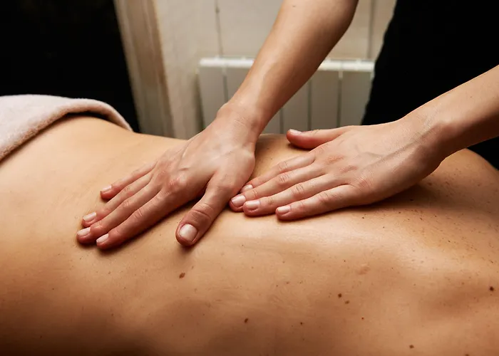 Et Le Lion D'or 3* Pont-Évêque