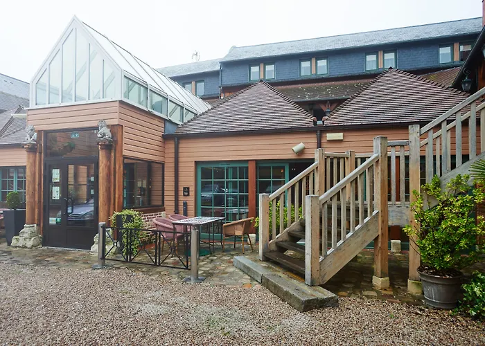 Otel Et Le Lion D'or