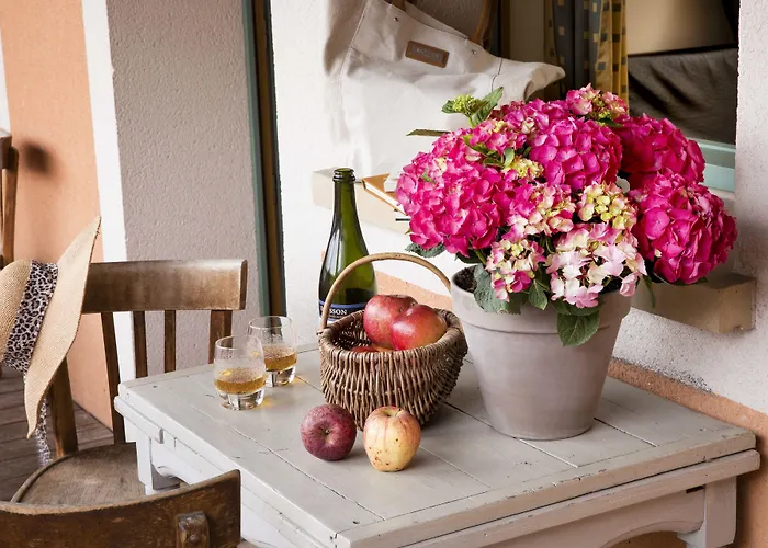 Et Le Lion D'or 3* Pont-Évêque