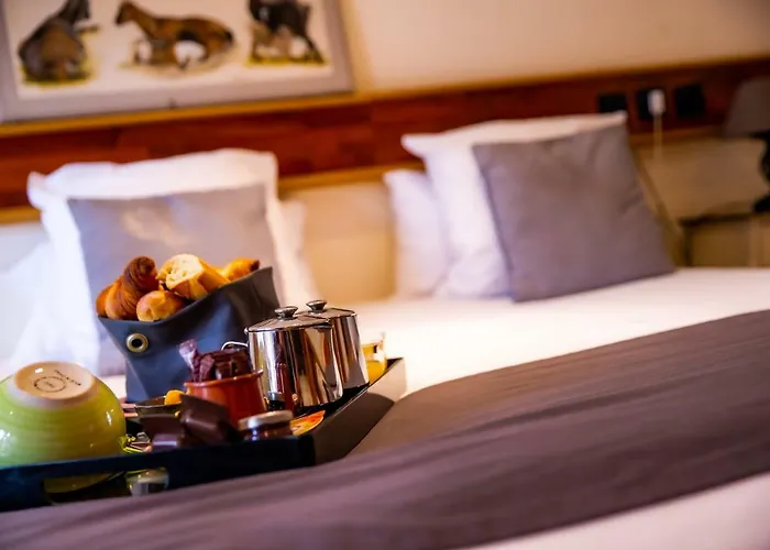 Hotel Et Le Lion D'or